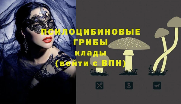 дмт Армянск