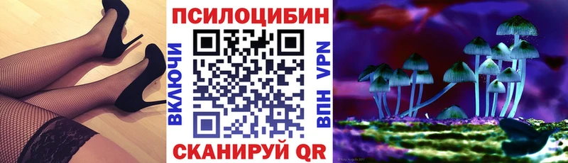 Псилоцибиновые грибы Psilocybe  Приволжск 